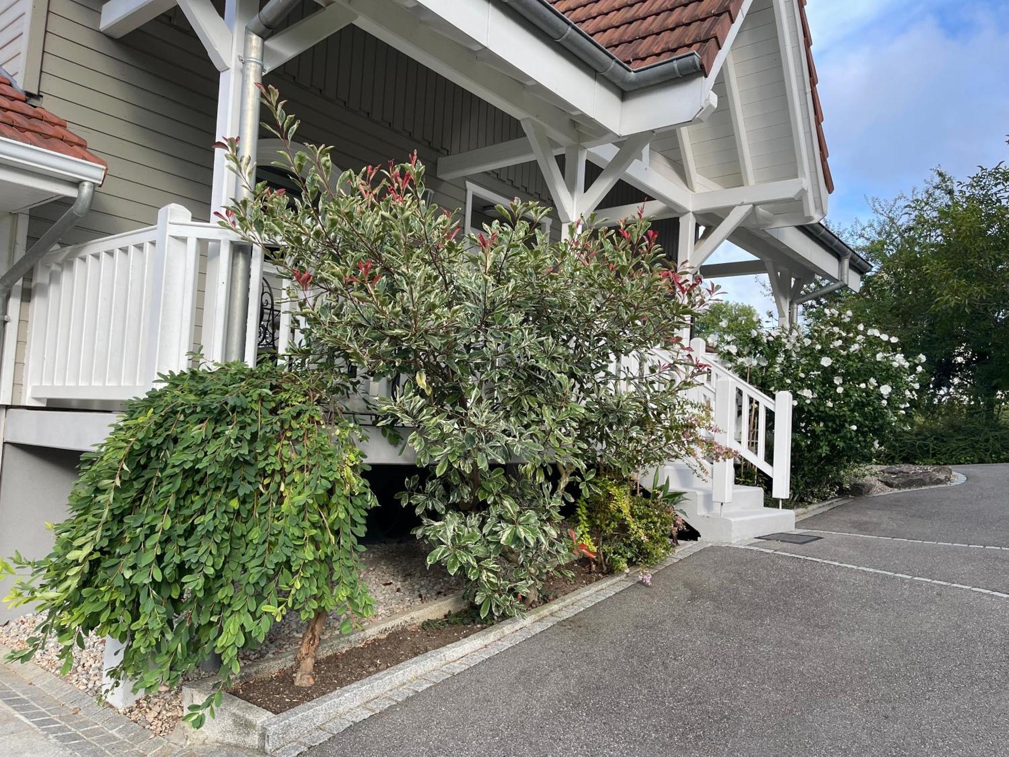 Tulipes Et Cetera Hotel Waldighoffen Exterior foto